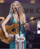 Taylor Swift Custom Guitar Strap